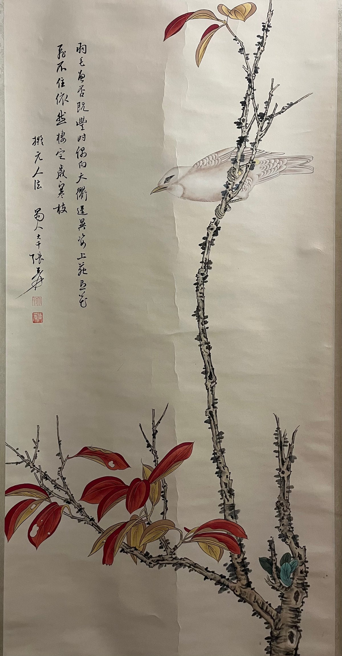Bird on a Branch
