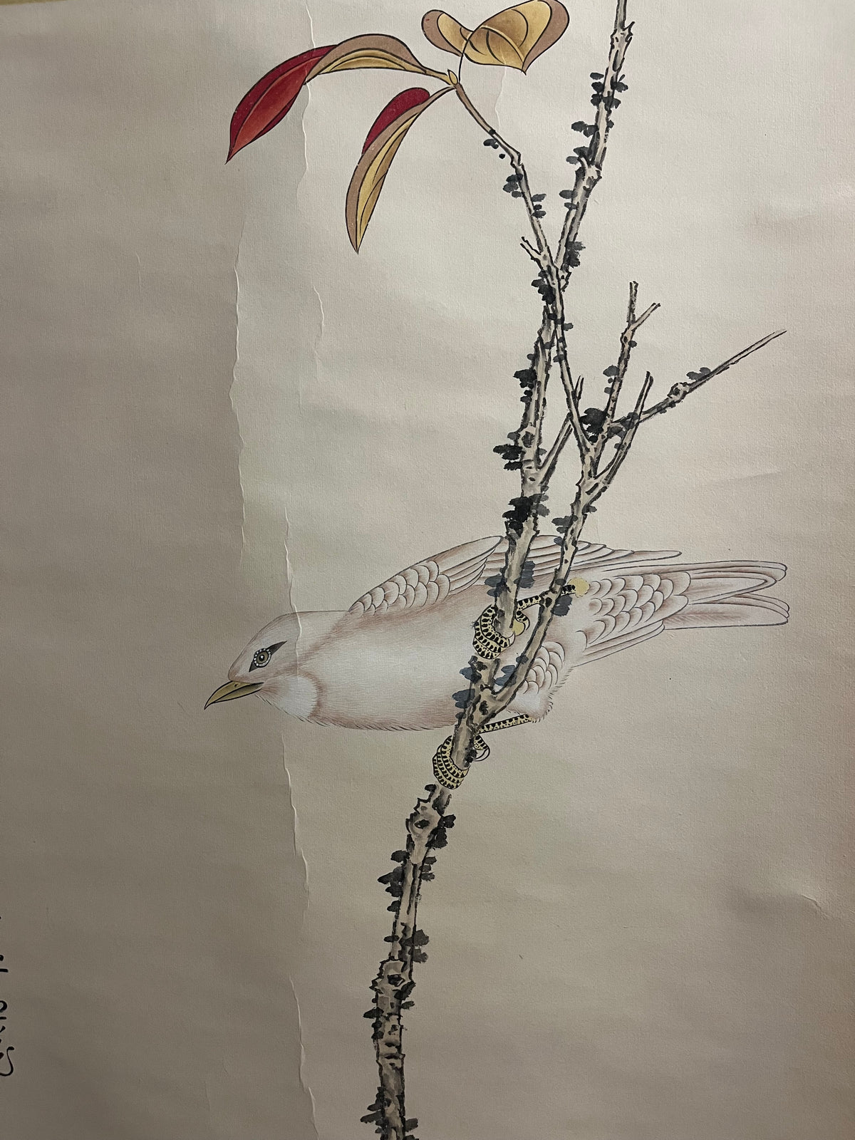 Bird on a Branch