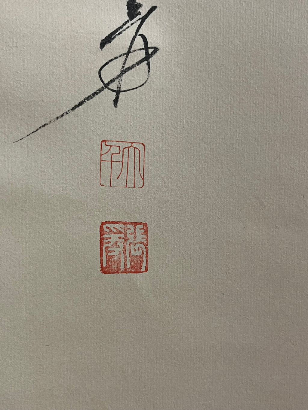 Bird on a Branch