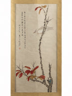 Bird on a Branch